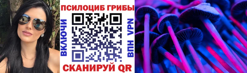 Купить закладки  Раменское  Псилоцибиновые грибы Psilocybe